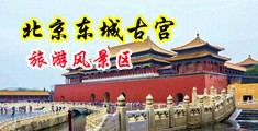 美女被操逼网站中国北京-东城古宫旅游风景区